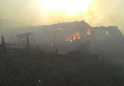 Ορχομενός: Καταστροφές από μεγάλη φωτιά - Διαδοχικές πυρκαγιές στην Αμφίκλεια (Φωτό)!