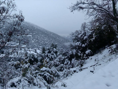 Καιρός: Βροχές αλλά και χιόνια τη Δευτέρα!