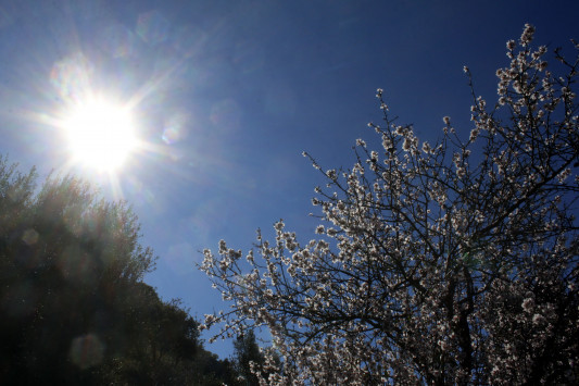 Καιρός: Η πρόγνωση της Κυριακής