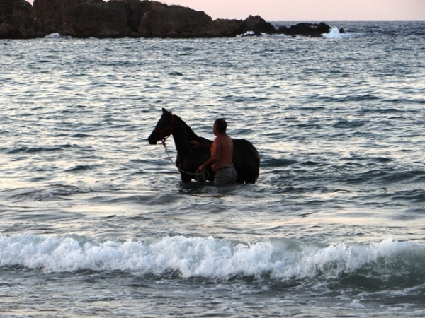 ΦΩΤΟ από animalscare.gr