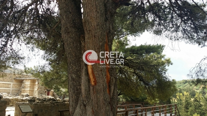 ΦΩΤΟ από cretalive.gr