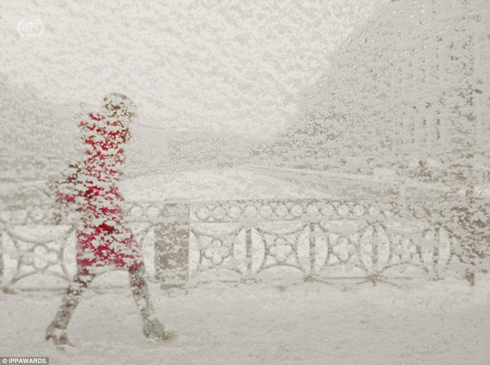 Τρίτη Θέση: Bob Weil, Καλιφόρνια Χιονοθύελλα στην Αγία Πετρούπολη