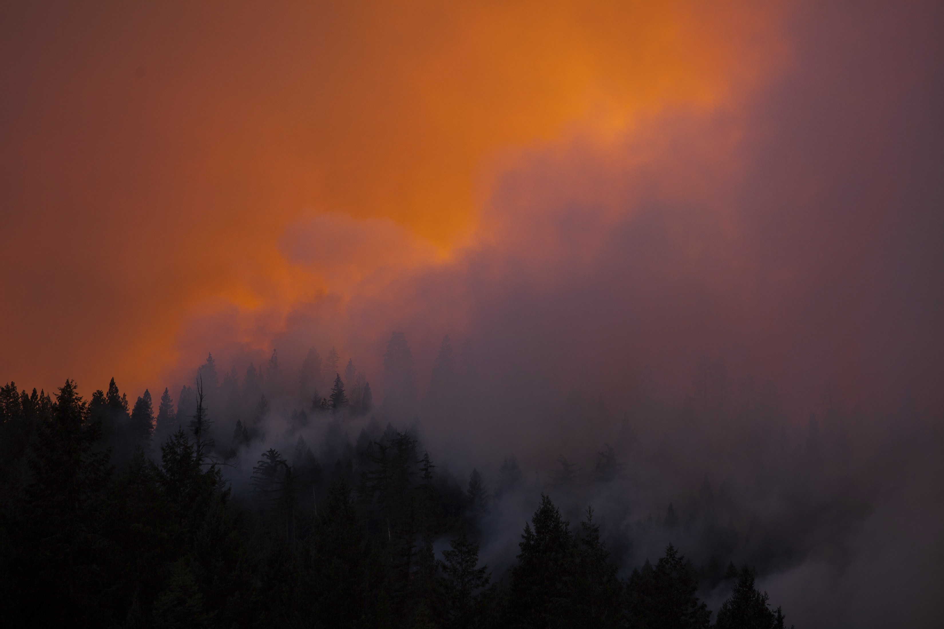 Χιλιάδες εκτάρια έχουν καεί μέχρι τώρα - ΦΩΤΟΓΡΑΦΙΑ REUTERS