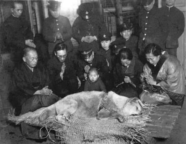 Θρήνος λίγο πριν την κηδεία του πιστού σκύλου Χάσικο (1935)