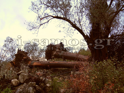 ΦΩΤΟ από i-samos.gr