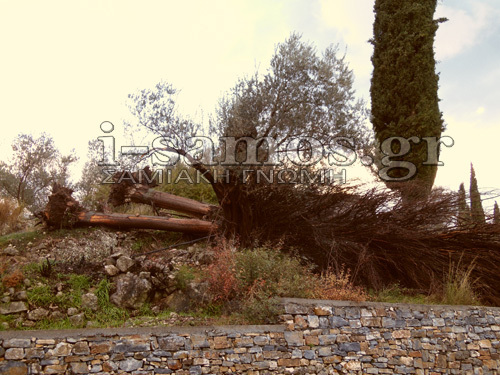 ΦΩΤΟ από i-samos.gr