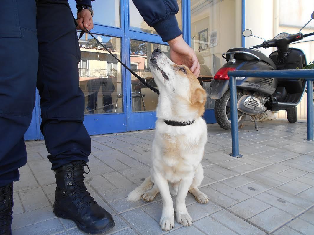 ΦΩΤΟ από patrastimes.gr