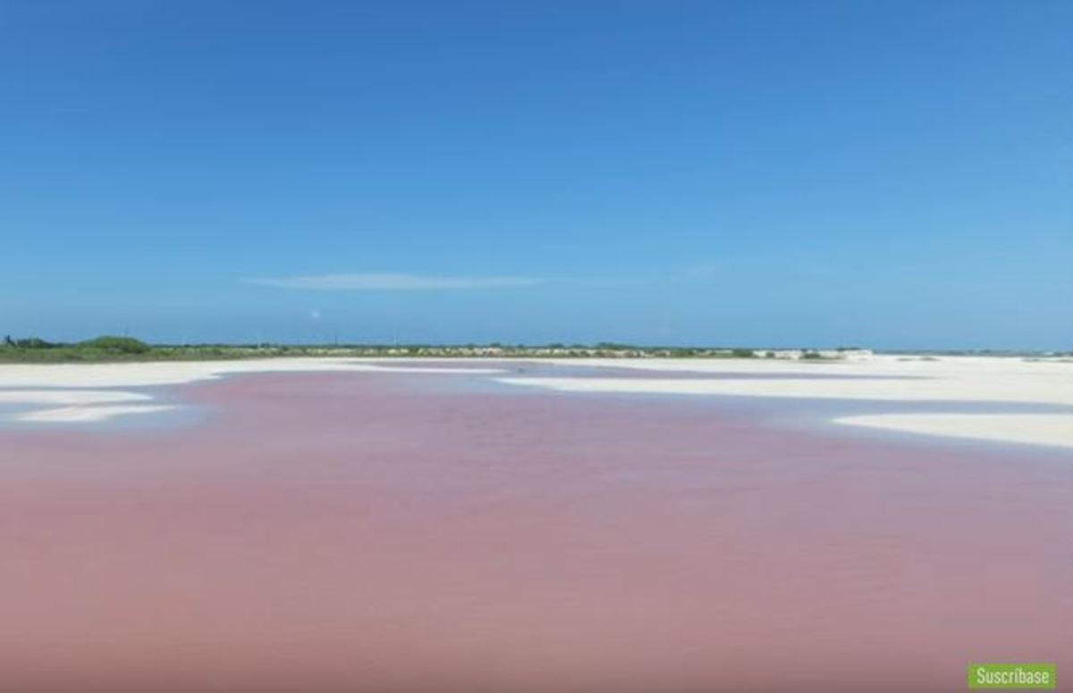 Розовая лагуна 1984. Розовые озера Мексика. Розовые озера в Мексике на карте. Pink Lagoon patron. Pink Lagoon furry.