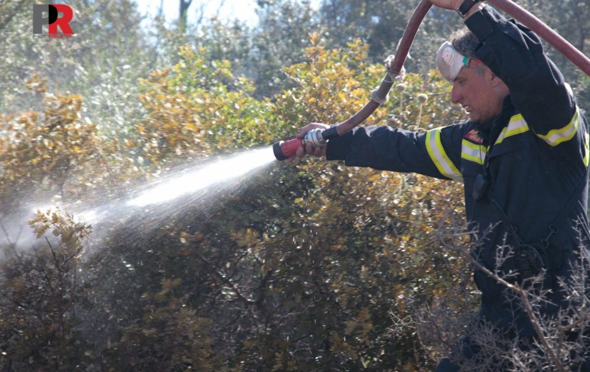 ΦΩΤΟ από photoreporter.gr