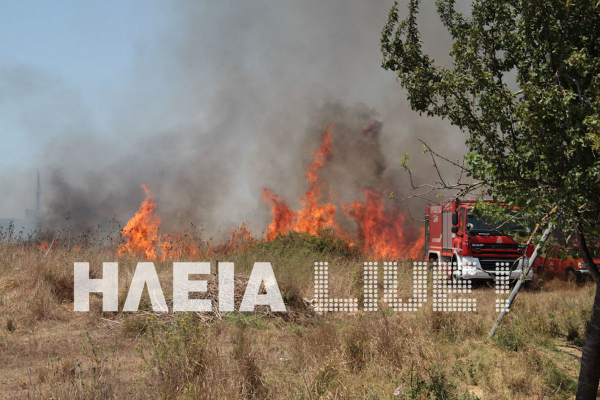 Πύργος: Φωτιά ”έγλυψε” τις αυλές σπιτιών – Φωτογραφίες από τη μάχη της κατάσβεσης!