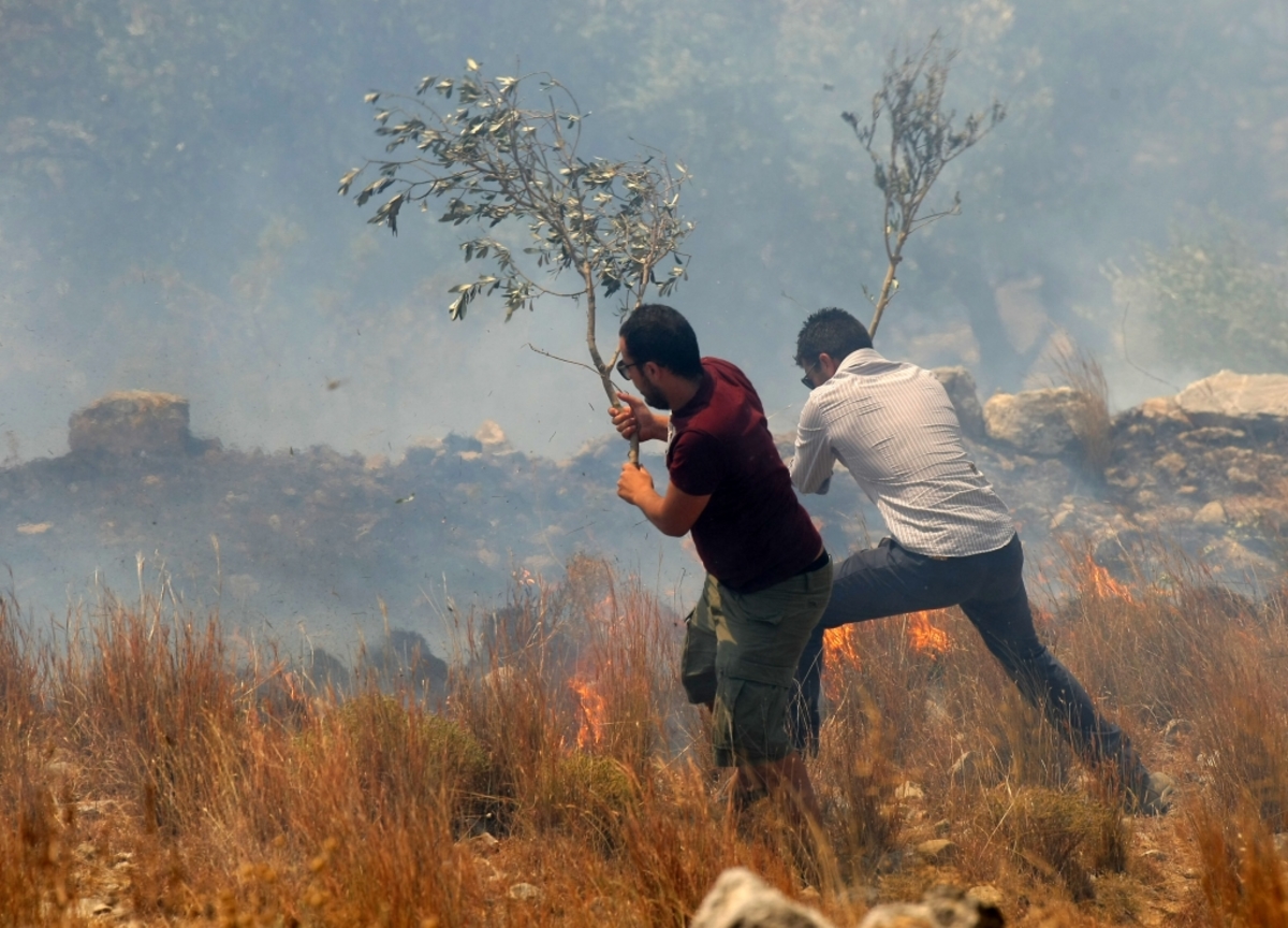 Πυρκαγιά σε εξέλιξη σε Ζάκυνθο, Φάρσαλα και Γιάννενα