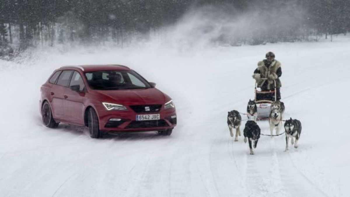 Έξι χάσκυ κοντράρονται με τα 300 άλογα του SEAT Leon [vid]