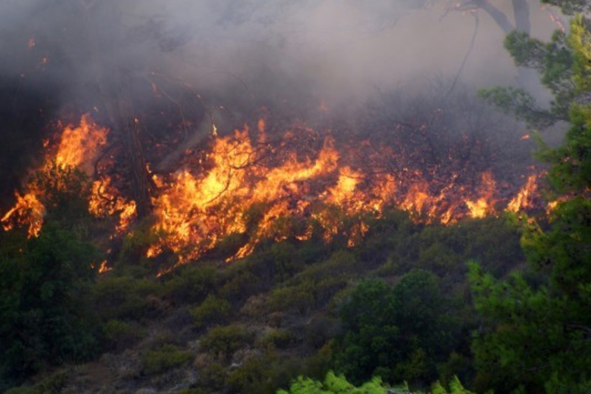 Συναγερμός στη Σκόπελο – Μεγάλη φωτιά καίει πευκοδάσος – Σε εξέλιξη επιχείρηση κατάσβεσης