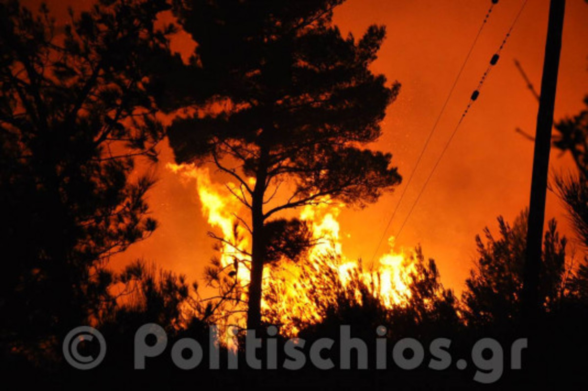 Χίος: Δεν τα κατάφερε η Γεωργία Γιαλιά – Είχε υποστεί σοβαρά εγκαύματα στη φωτιά της Σιδηρούντας