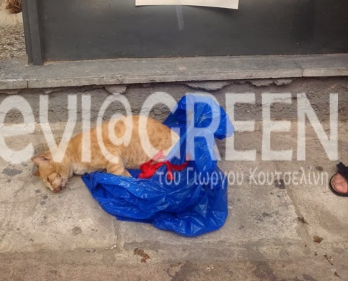 ΦΩΤΟ από eviagreen.gr