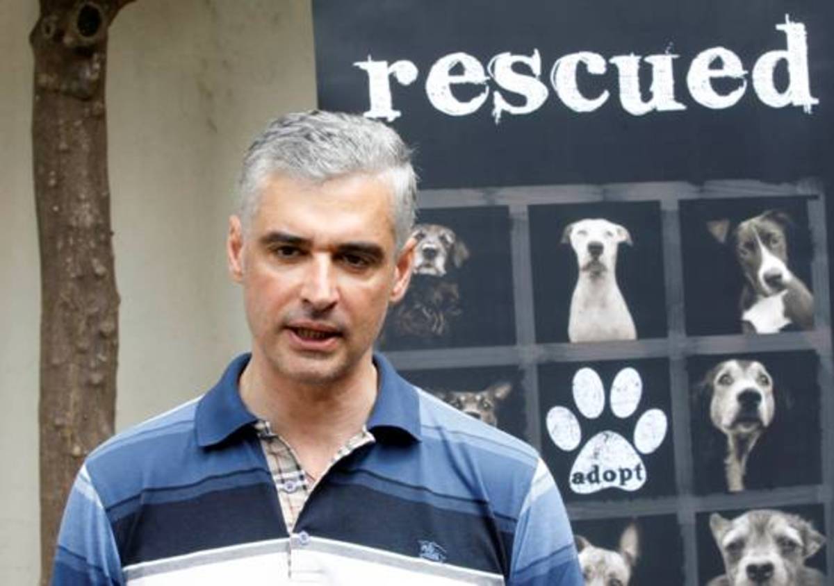 Σπηλιωτόπουλος: Είναι ντροπή τα αδέσποτα ζώα να υποφέρουν και να θανατώνονται