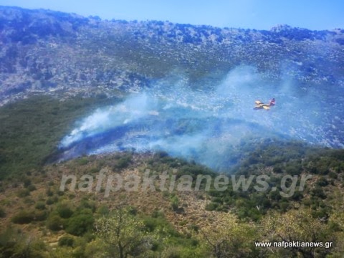 Ναυπακτία: Υπό έλεγχο η φωτιά στην Άνω Βασιλική – Δείτε βίντεο!