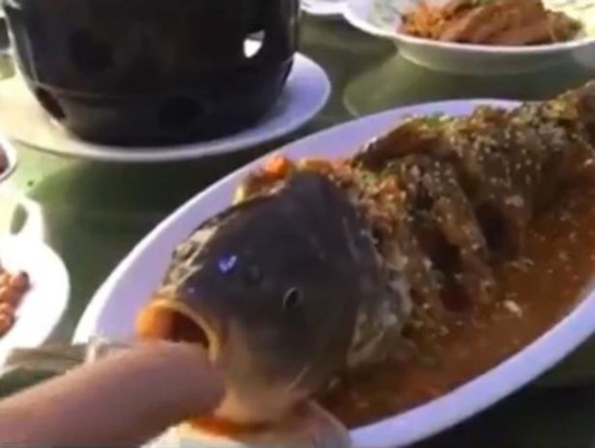 Τεμαχισμένο ψάρι “ζωντανεύει” με ένα σφηνάκι (ΒΙΝΤΕΟ)