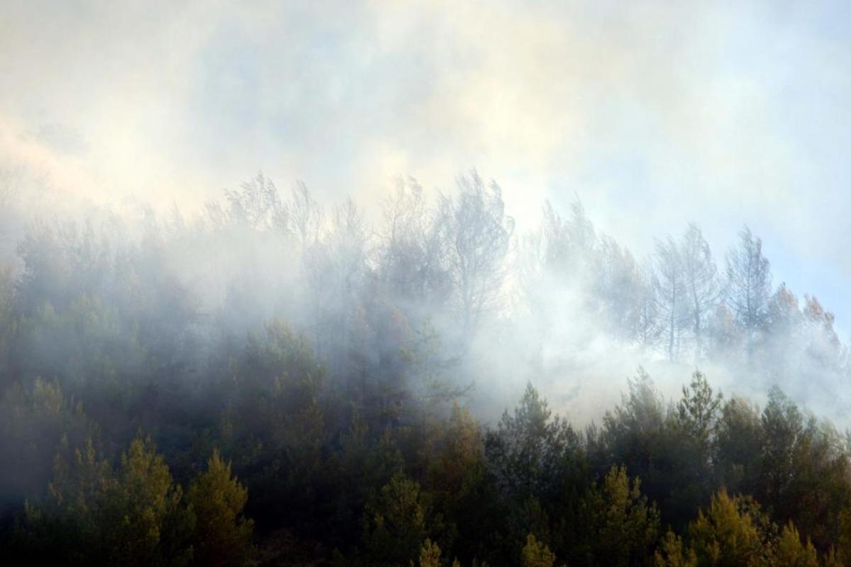 Φωτιά στην περιοχή του αεροδρομίου Θεσσαλονίκης