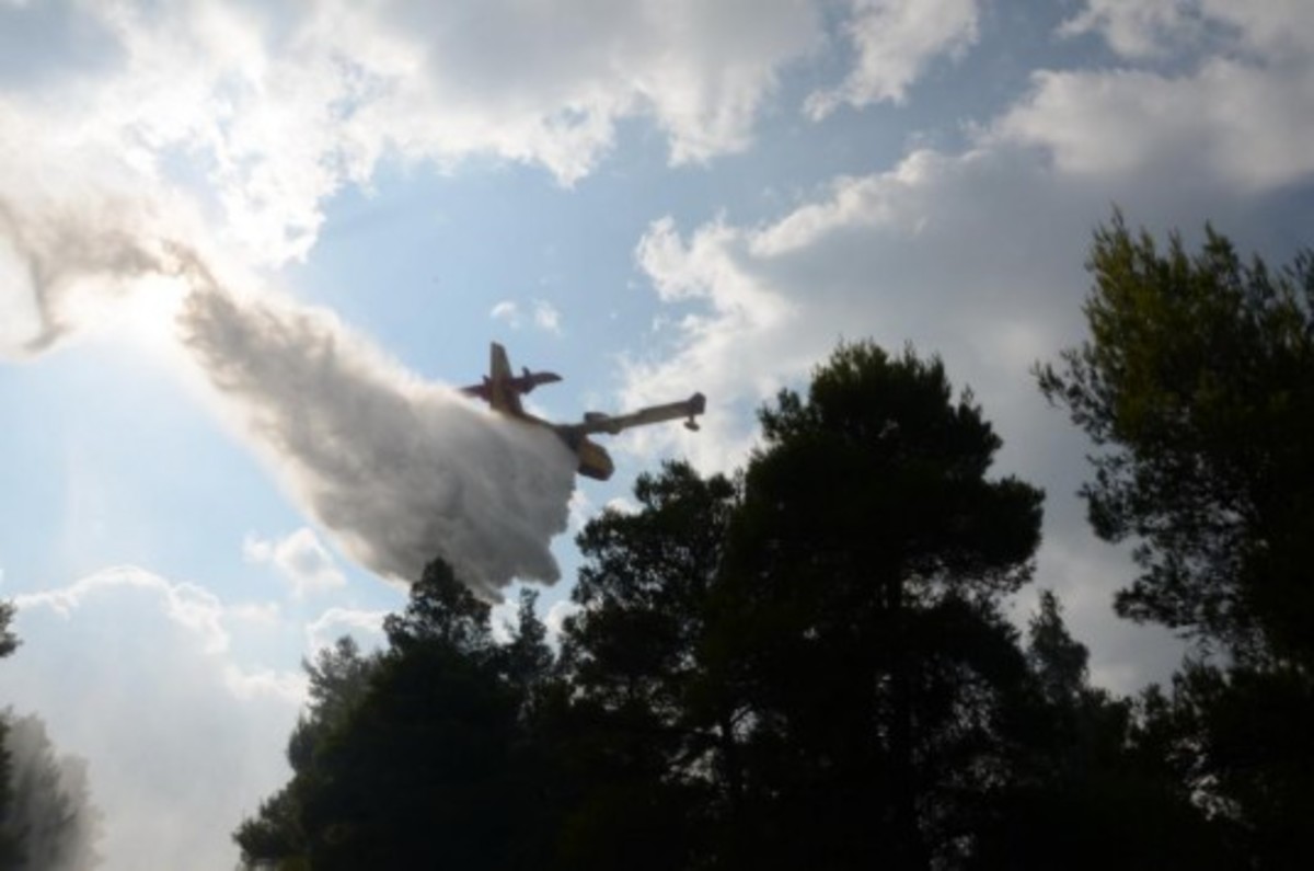 Πυρκαγιά στη Λαγόμανδρα Χαλκιδικής