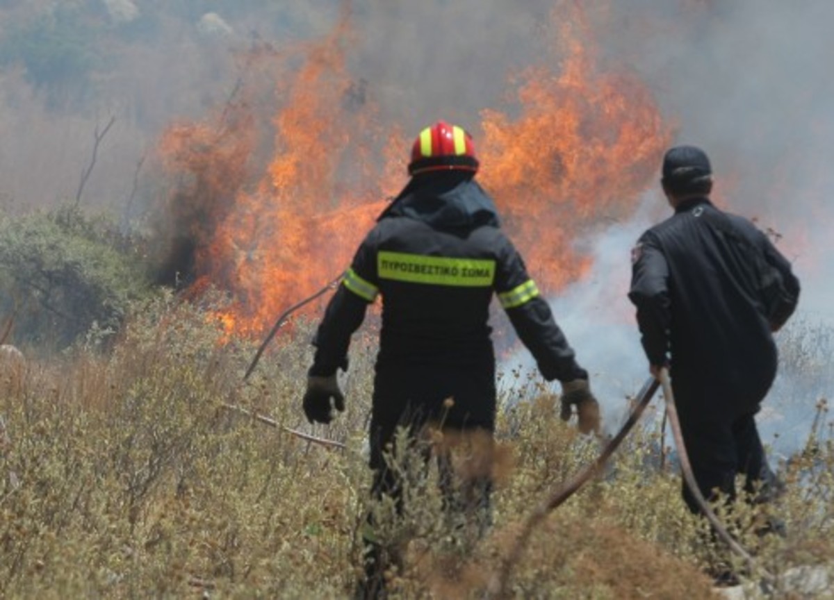 Κιλκίς: Υπό μερικό έλεγχο η φωτιά στο Πεδινό – Νέο μέτωπο στα Μπακέικα