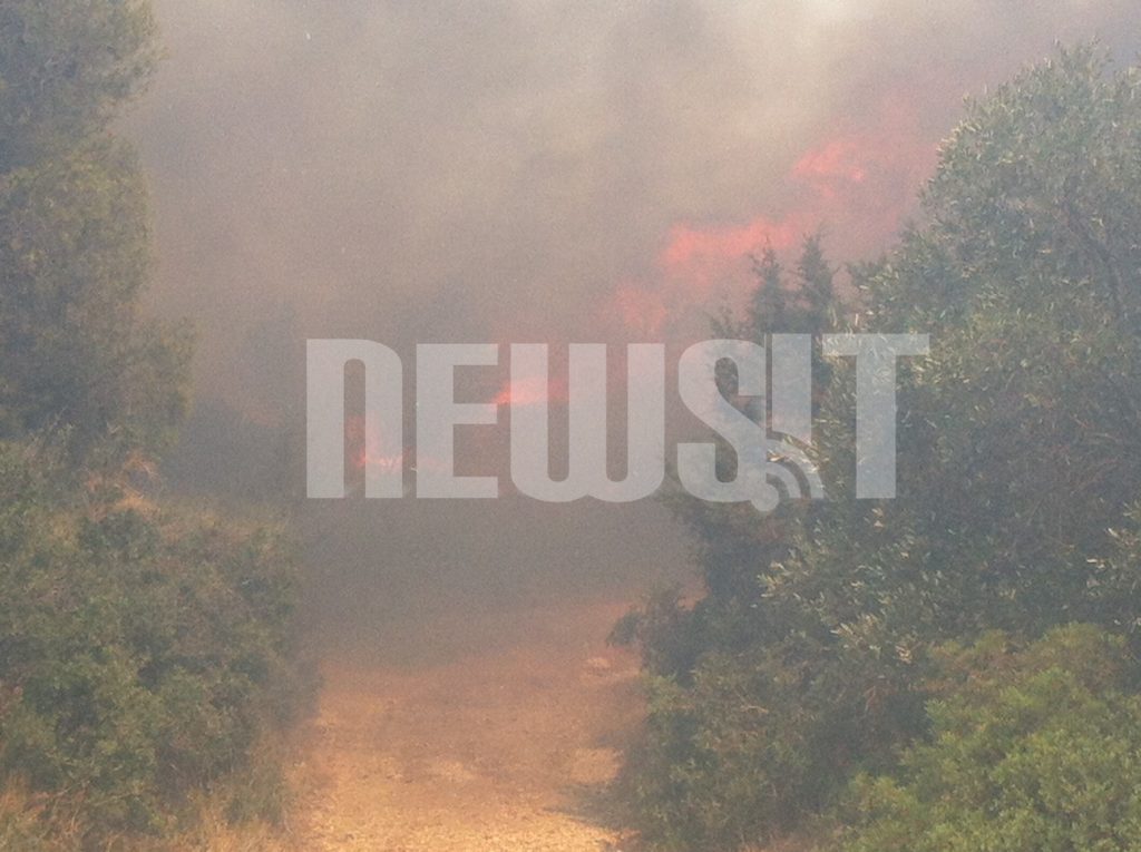 ΏΡΑ 18:20 Καίγονται σπίτια στην Κερατέα – Φωτιά σε Ν. Μάκρη, Πεντέλη, Αγ. Αποστόλους και Μαραθώνα- ΦΩΤΟ – ΒΙΝΤΕΟ NEWSIT