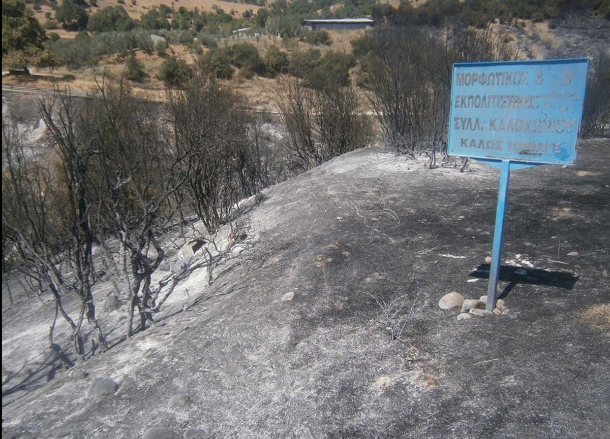Μαίνεται η φωτιά στην Καλαμπάκα – Ανυπολόγιστες καταστροφές