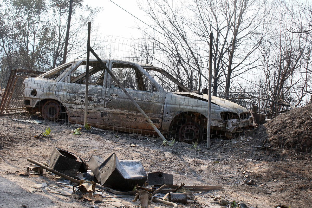 «Στάχτη» περισσότερα από 300.000 στρέμματα το 2016