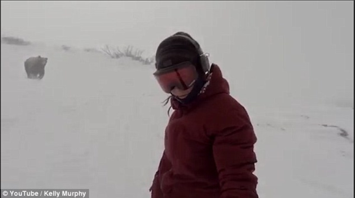 Έκανε snowboard, την κυνηγούσε αρκούδα και δεν πήρε χαμπάρι! (ΒΙΝΤΕΟ)