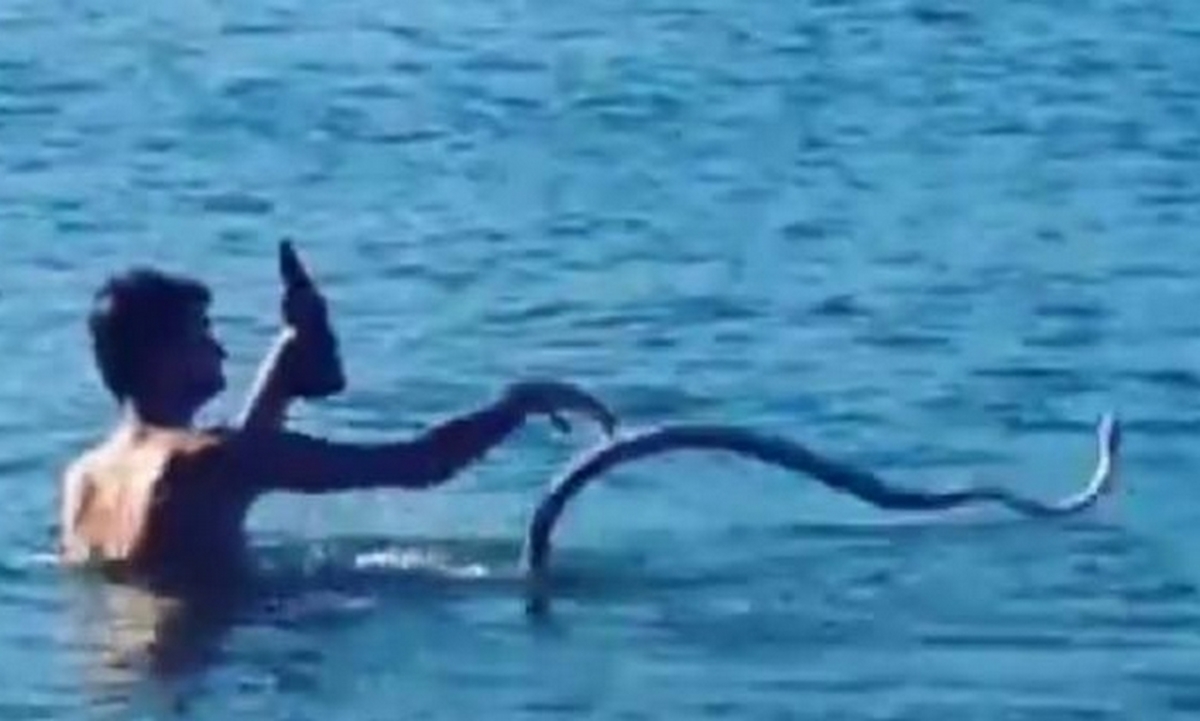 Απίστευτο! Πήρε το φίδι του στη θάλασσα και κολυμπούσαν μαζί (ΒΙΝΤΕΟ)