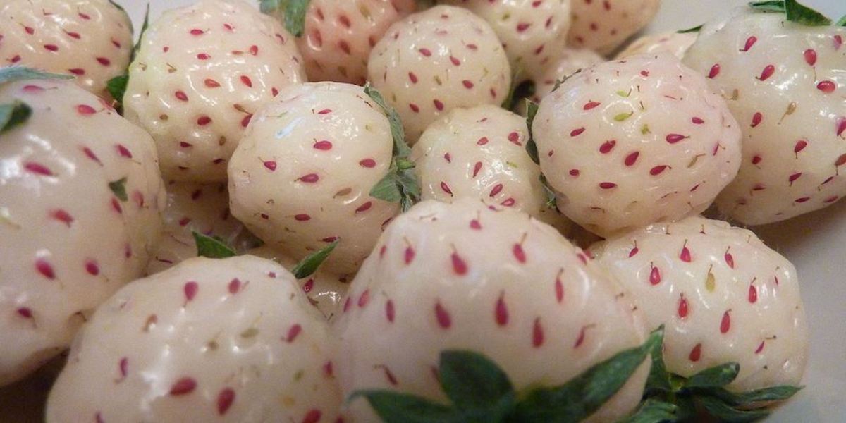 Άσπρες φράουλες με γεύση ανανά!
