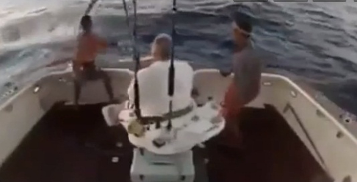 Η… εκδίκηση του ψαριού! Πήδηξε στη βάρκα και ο ψαράς… στη θάλασσα! (video)