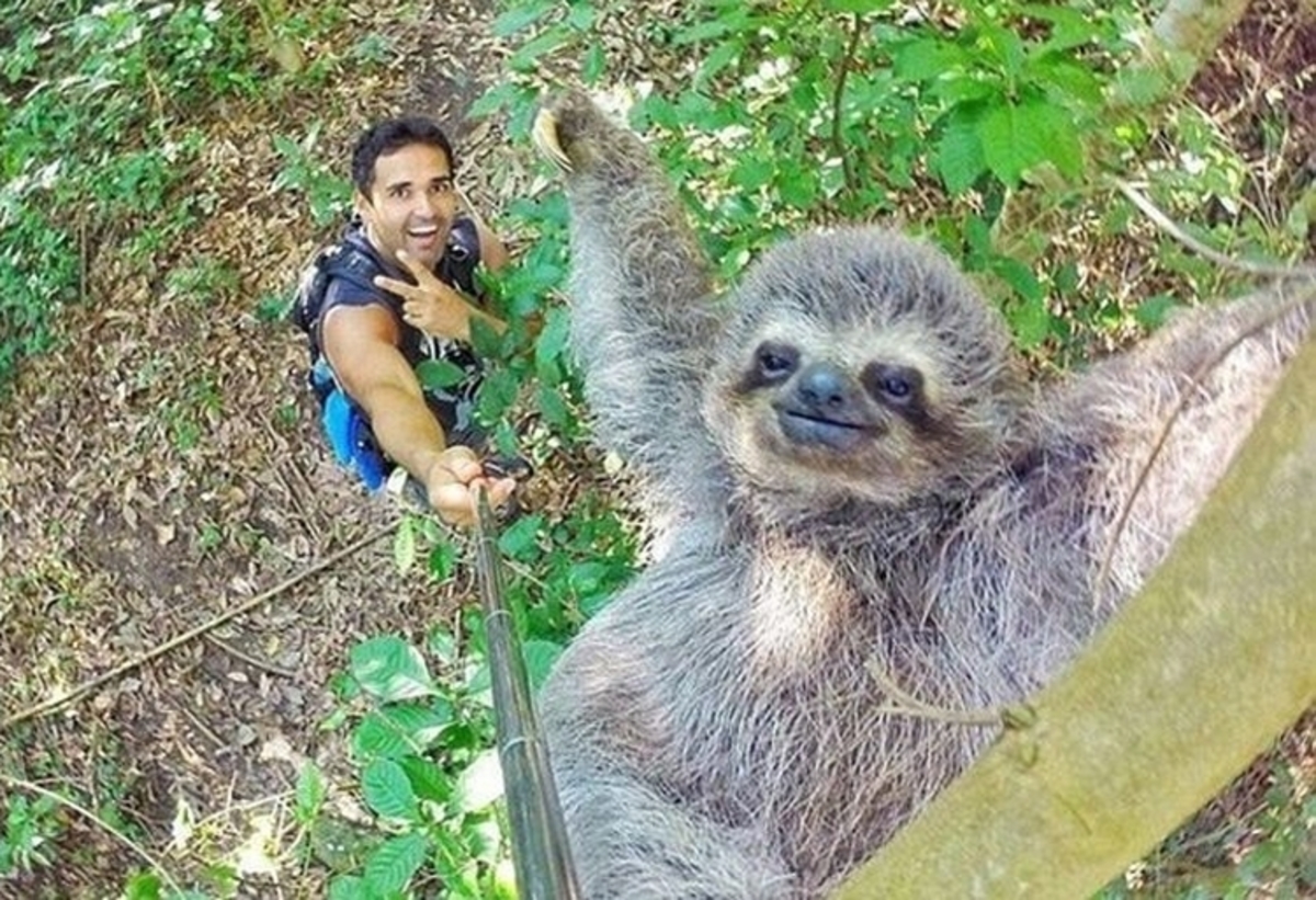 Η selfie με τον βραδύποδα που “γκρέμισε” το facebook!