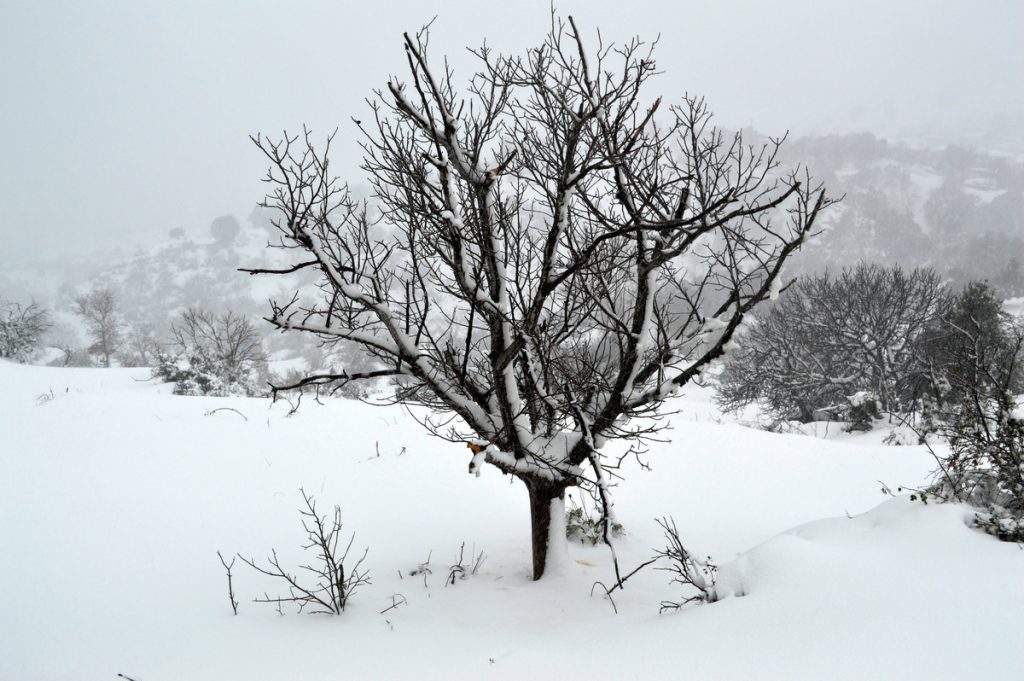 Χαλάει από το βράδυ ο καιρός στη βόρεια Ελλάδα