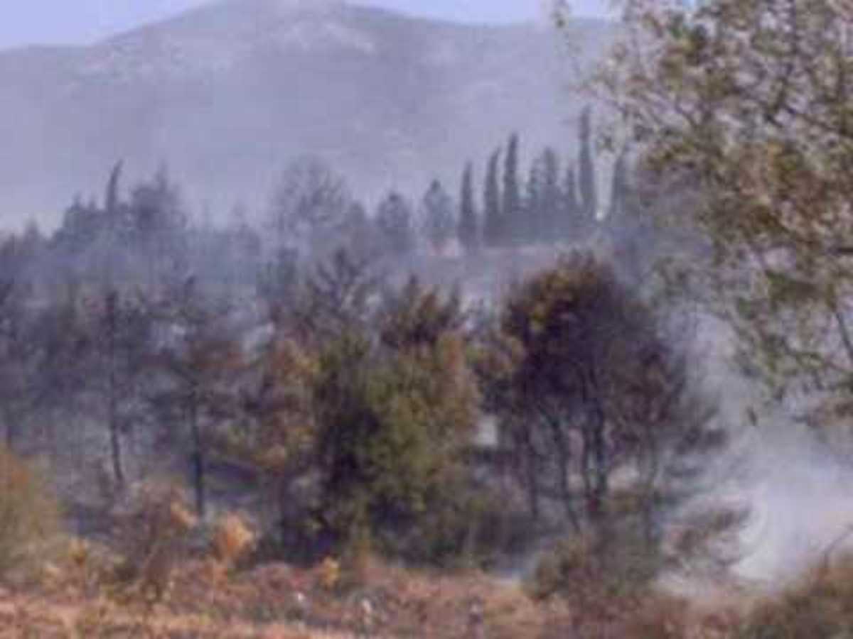 Αυστηρότερα μέτρα προστασίας  του Υμηττού