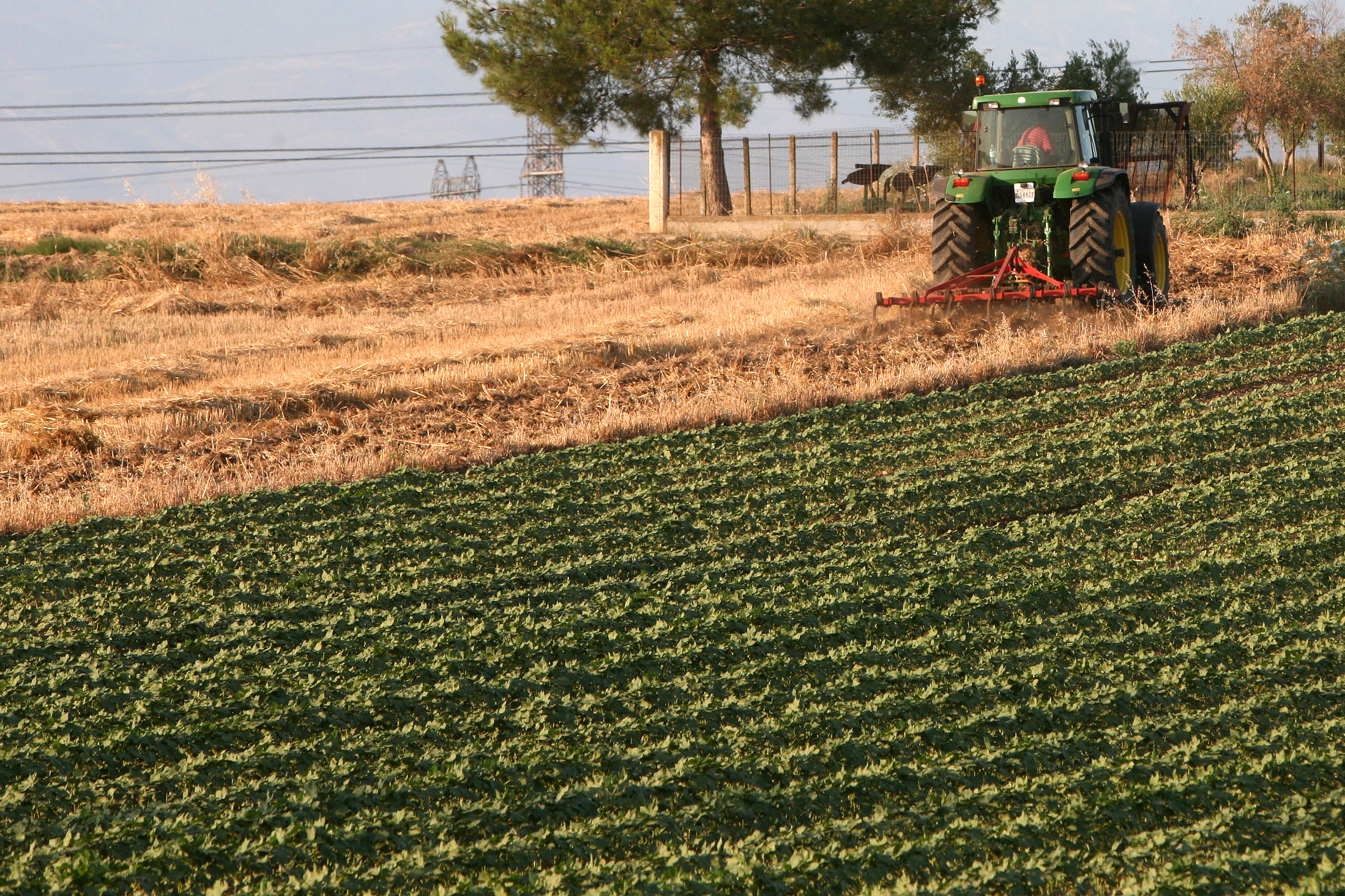 Κίνητρα για επιστροφή στην ύπαιθρο – Πριμ 50.000€ σε 18.000 νέους