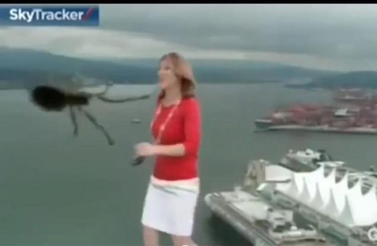 Μετεωρολόγος τρομάζει από αράχνη στον αέρα!