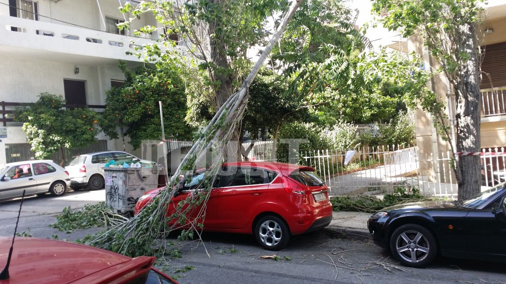 Πάνω από 40 δέντρα κόπηκαν από τους θυελλώδεις ανέμους! (ΦΩΤΟ)