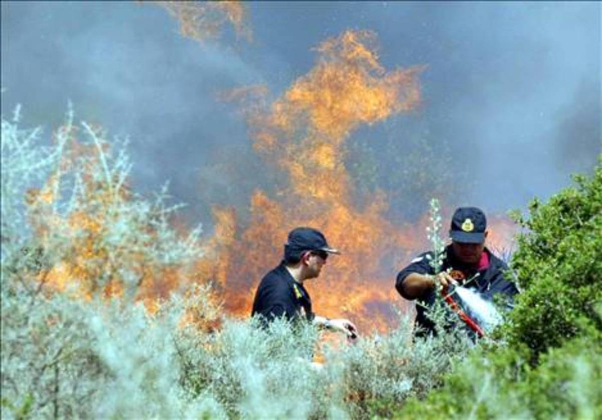 Περιπολία στα δάση μας, με μηχανές…