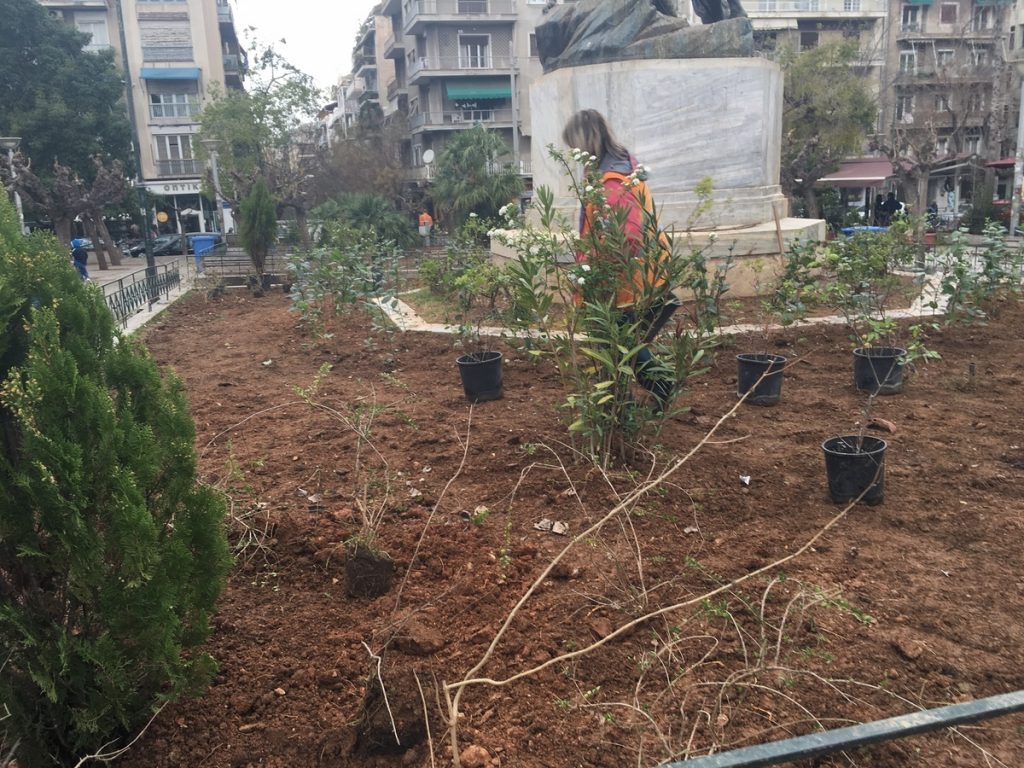 Πλατεία Βικτωρίας: Φύτεψαν δέντρα για να μην κοιμούνται οι πρόσφυγες – ΦΩΤΟ