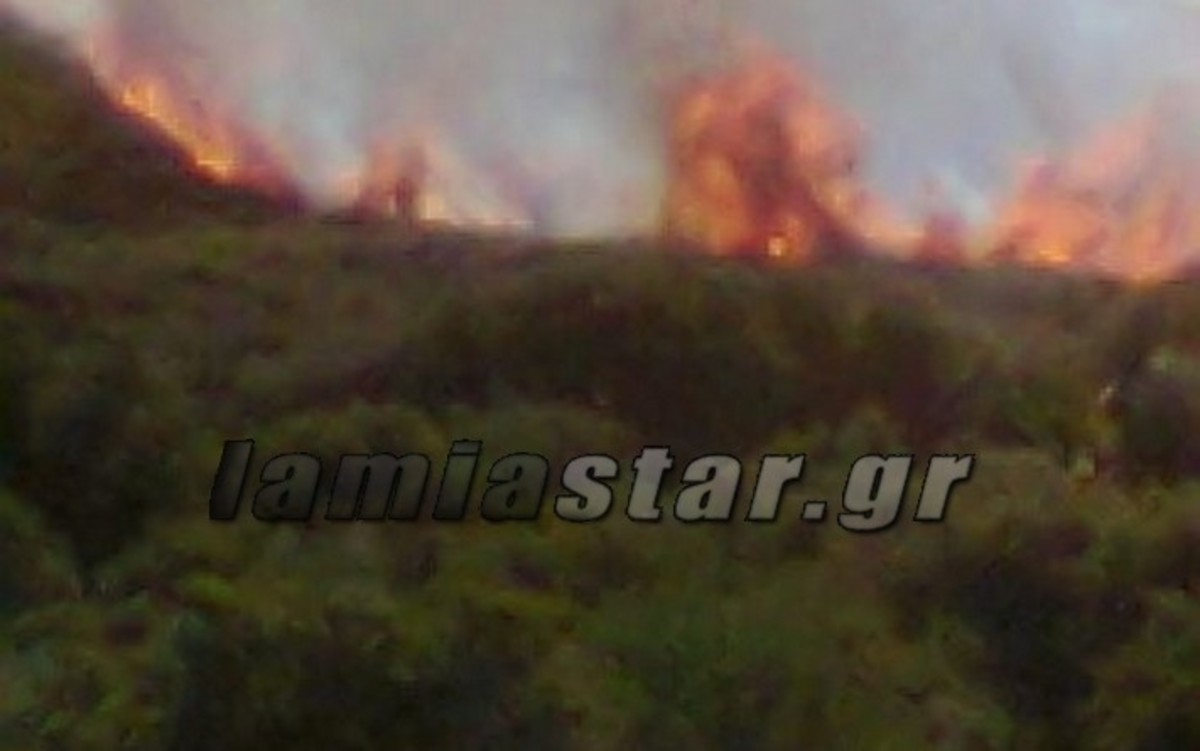 Μαίνεται η φωτιά στον Διόνυσο Βοιωτίας (ΦΩΤΟ)