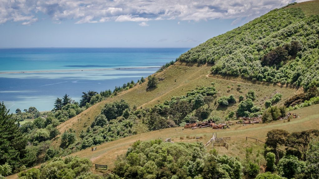 Μονοπάτια στην Δίρφη