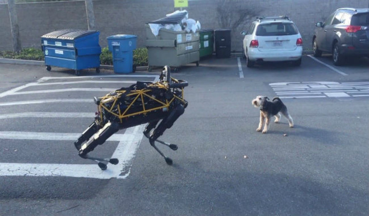 H επική μάχη ενός αληθινού σκύλου με το σκύλο – ρομπότ της Google!