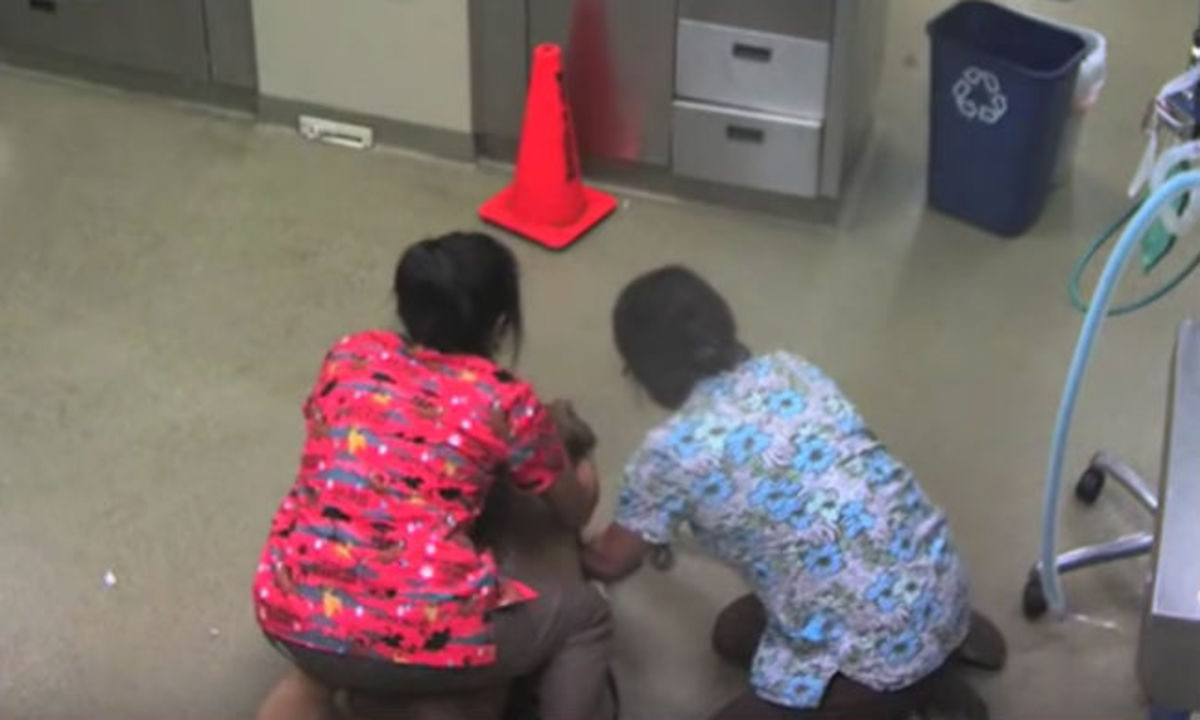 Ξεκαρδιστικό βίντεο: Προσπάθησαν να κάνουν στείρωση στο σκύλο και αυτός το έβαλε στα πόδια!
