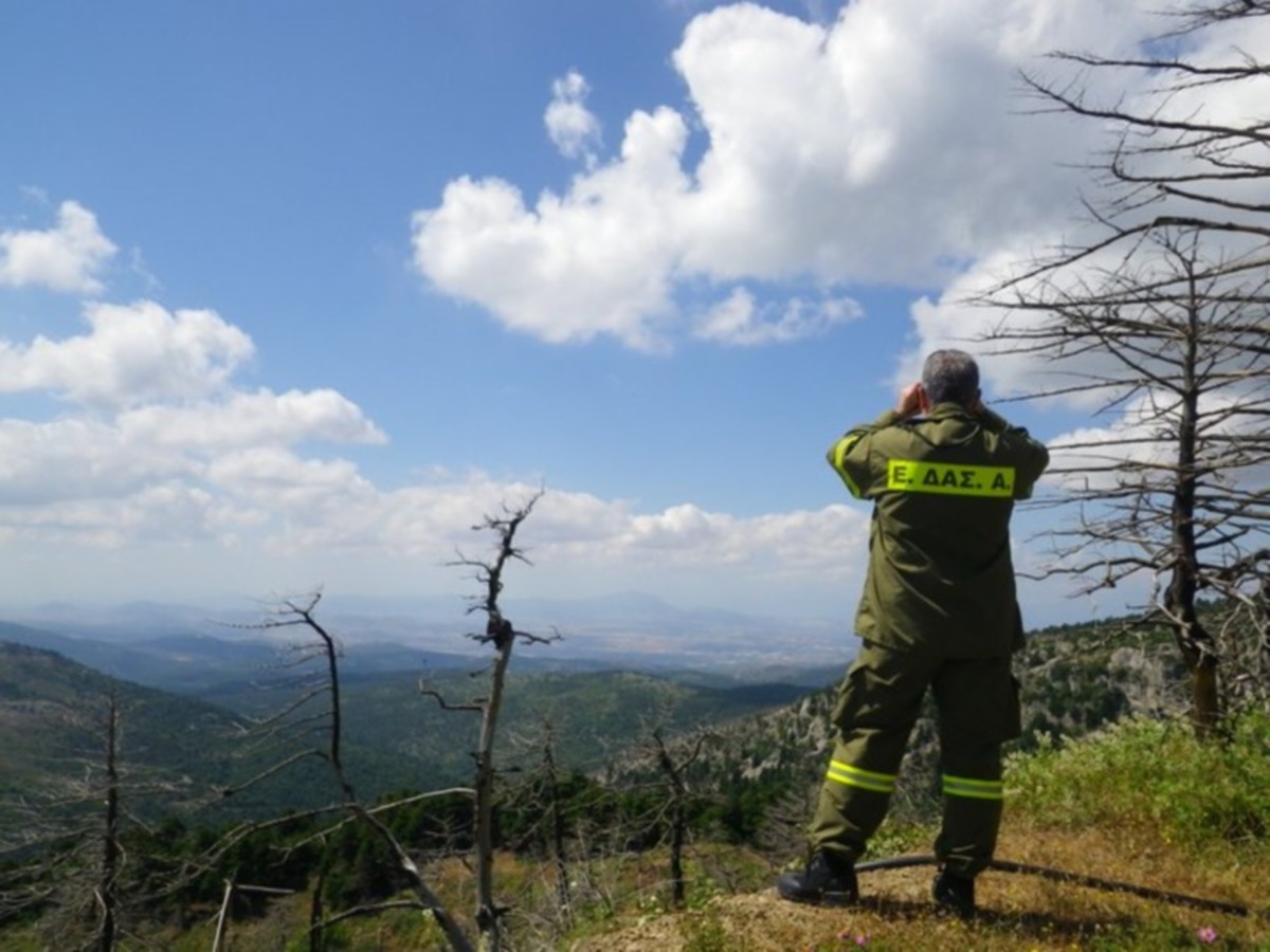 Εθελοντές για τις ΜΚΟ: Η συμπεριφορά των λίγων να μην επισκιάσει την προσφορά της πλειοψηφίας