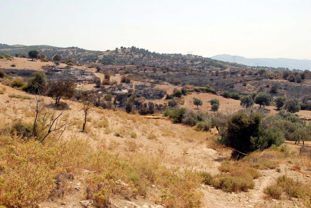 Ανθρώπινα οστά βρήκε περαστικός στην Αιδηψό