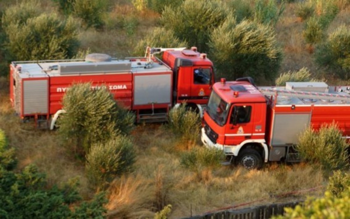 Ηλεία: 60 πυρκαγιές σε τρεις ημέρες!