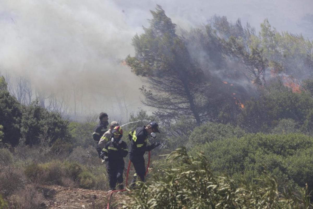 Υπό μερικό έλεγχο η φωτιά σε δασική έκταση στη Σιθωνία