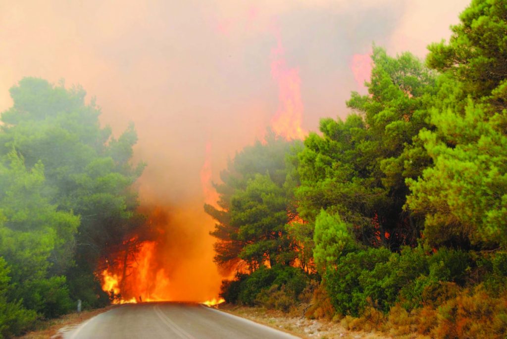 ΦΩΤΟ από imerazante.gr