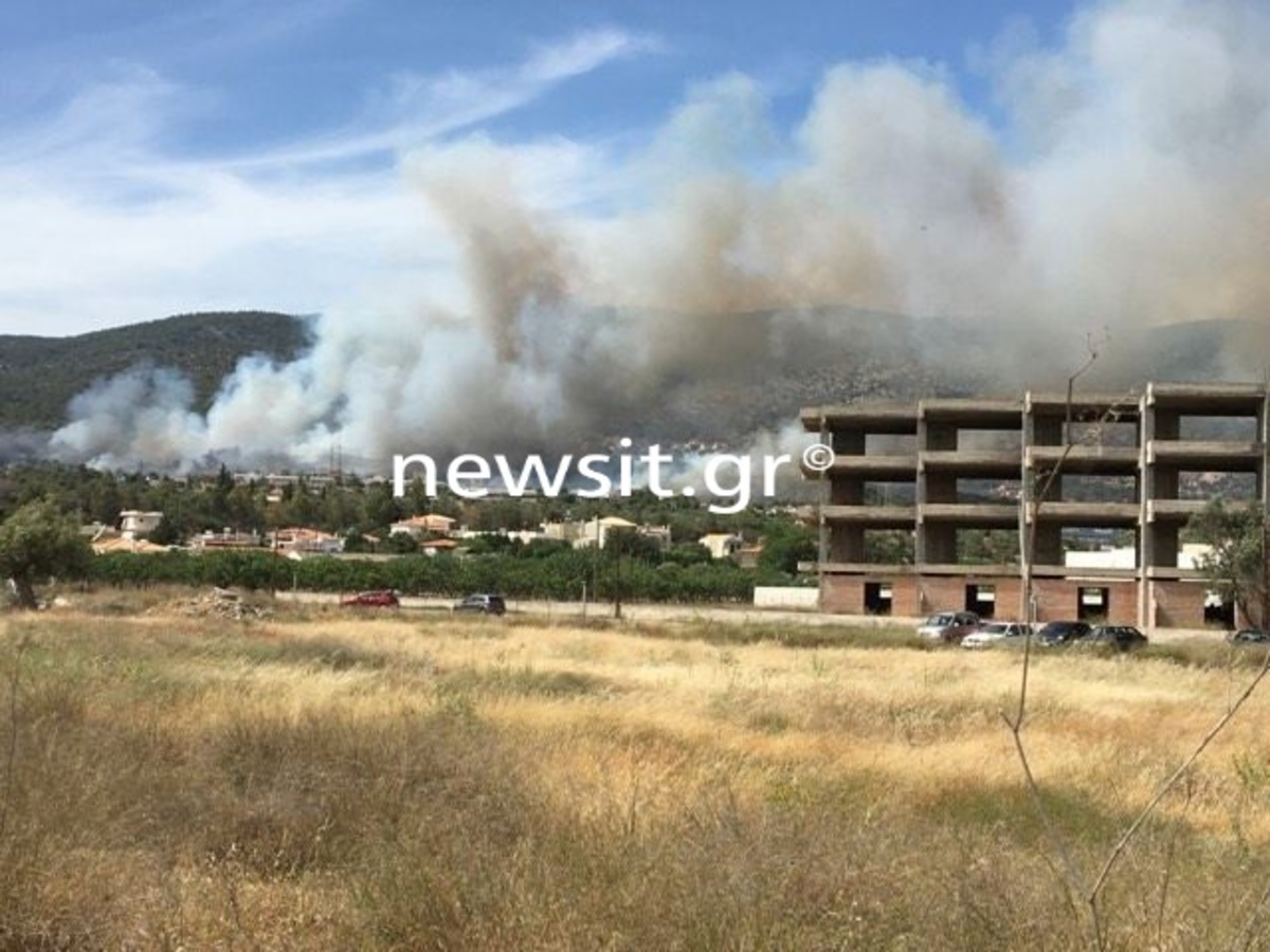 Σε ύφεση η φωτιά στους Αγίους Θεοδώρους που έφτασε κοντά σε οικισμό